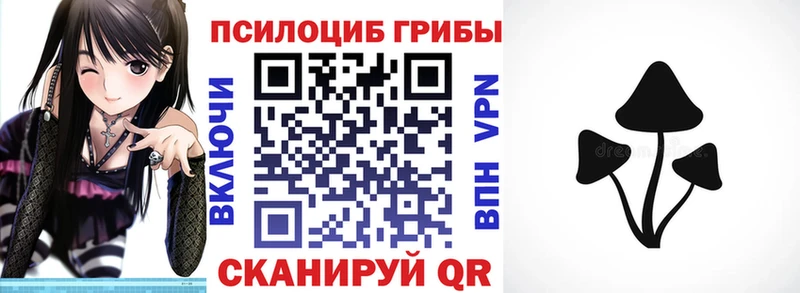 цены наркотик  Весьегонск  Галлюциногенные грибы Psilocybe 